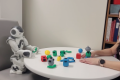 Social Robots to Encourage Play for Children with Physical Disabilities: Learning from Family Units