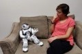 Emotional Support Domestic Robots for Healthy Older Adults