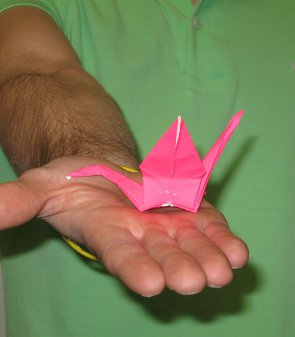 Origami casestudy.jpg